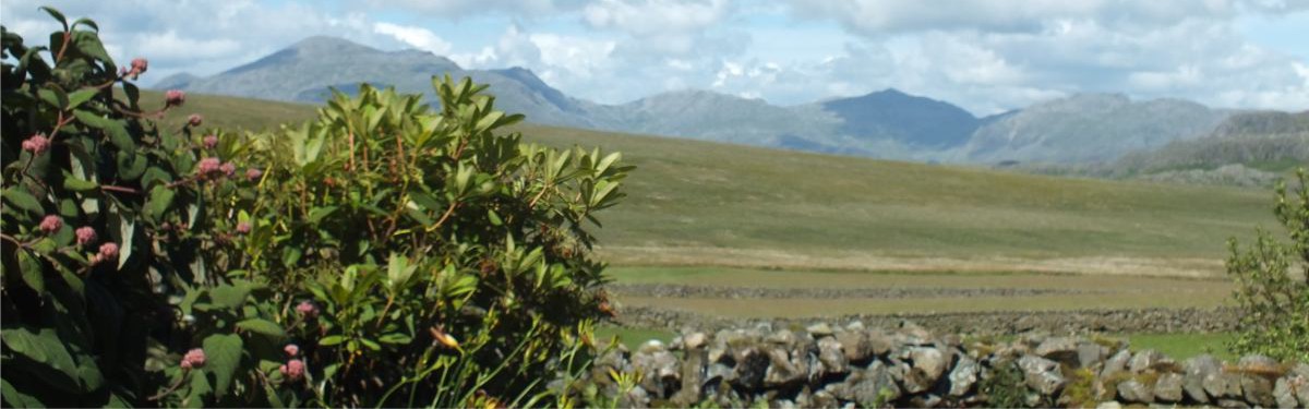 Woodend Holiday Cottages