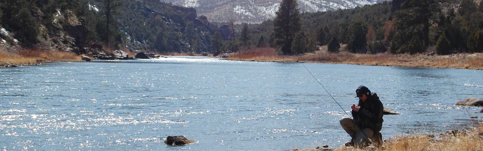 Fishing near Woodend